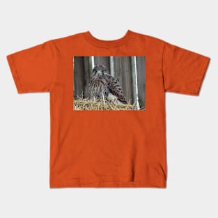 Fledgling Kestrel Kids T-Shirt